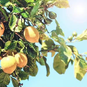 圣爱天堂色色色色色
